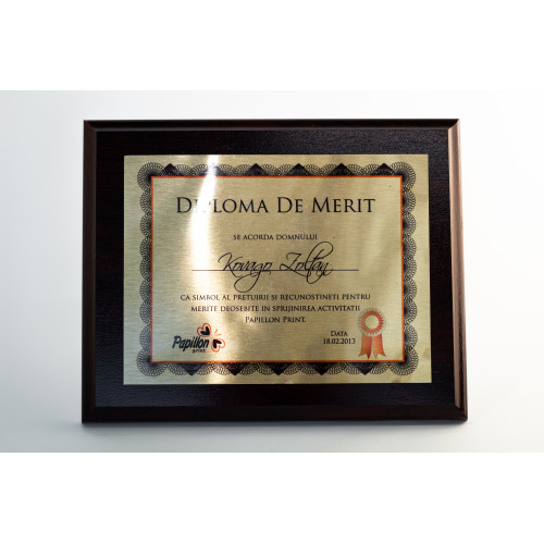 TABLOU MAHON CU PLACUTA SUBLIMABILA -